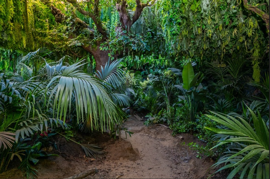 مغامرة في كل زاوية