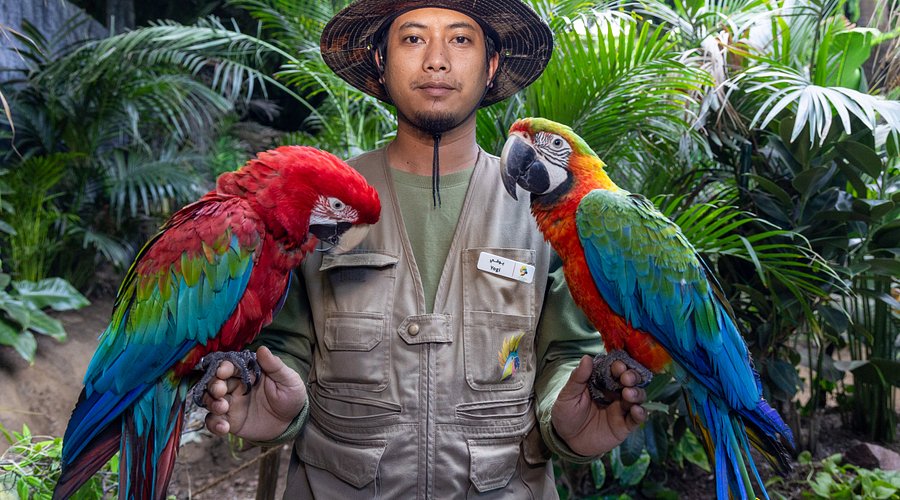 انغمس في قلب الطبيعة